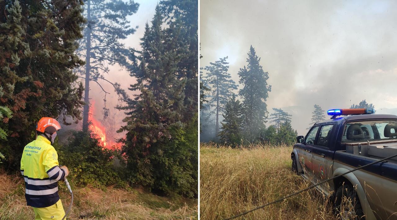 
	L'incendio (foto Facebook Pro Natura Bologna Odv)

