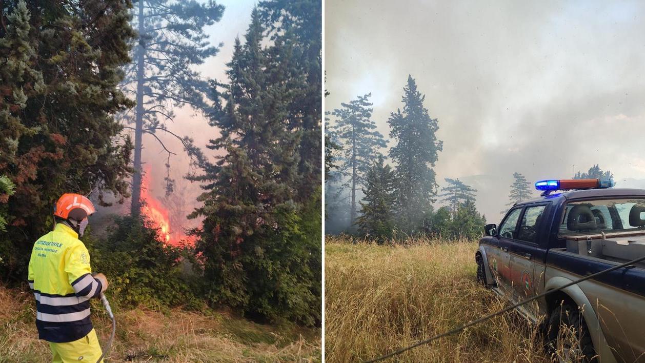 L'incendio (foto Facebook Pro Natura Bologna Odv)