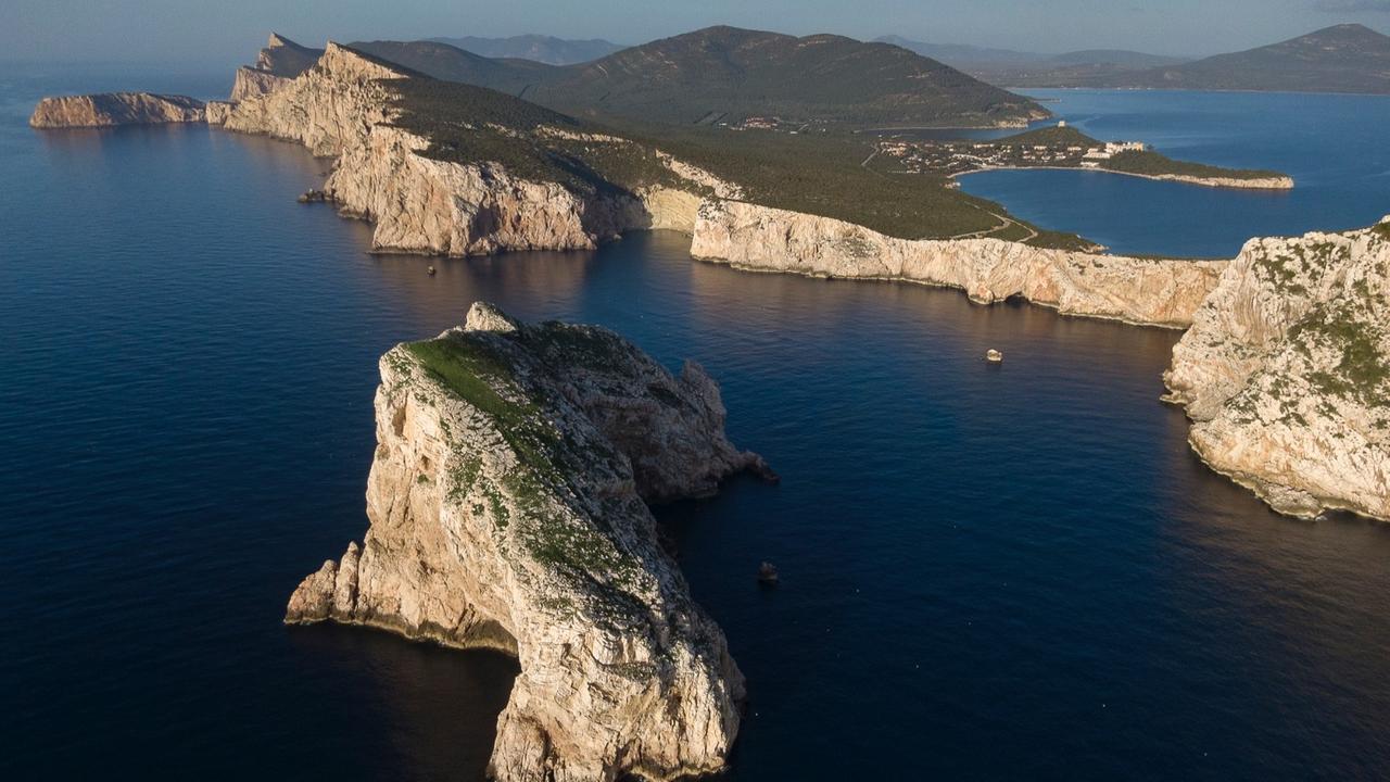 Corallo, stenelle e delfini nell’oasi della biodiversità
