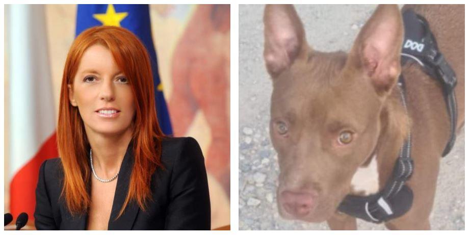 Michela Brambilla sul cane morto a Fabbrico: «Leidaa parte civile, con la nuova legge è finito il tempo dell’impunità»