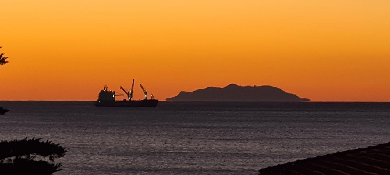 Livorno e la nave che “spinge” la Gorgona. Grazie ad Alice Smareglia