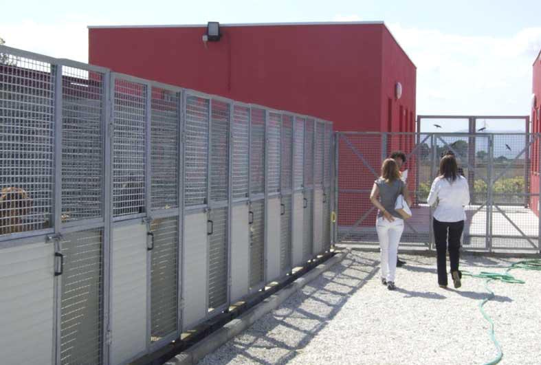 
	Uno scorcio del canile (foto d'archivio)

