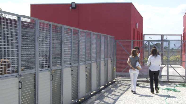 Uno scorcio del canile (foto d'archivio)