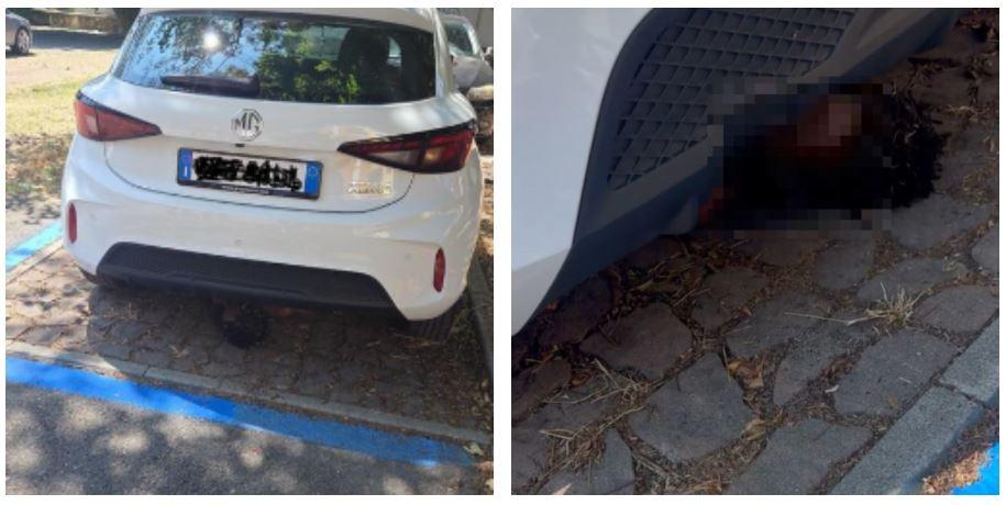Tenta di rubare in un’auto, scoperto si nasconde sotto il veicolo e non se ne vuole più andare