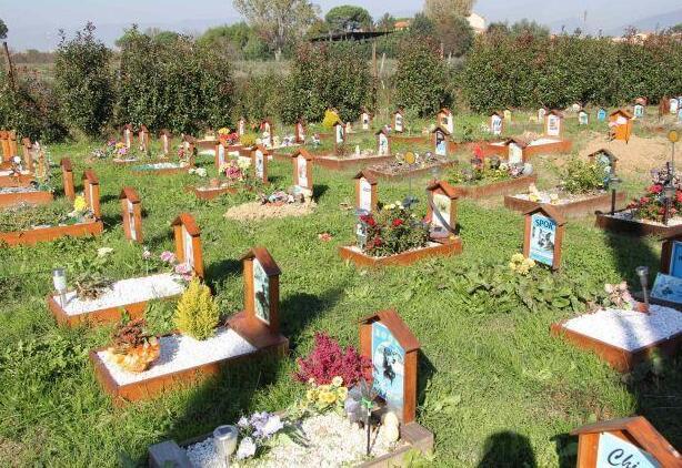 Toscana, sì alla sepoltura di animali con i padroni: «Scelta di civiltà». Ma i cattolici non ci stanno