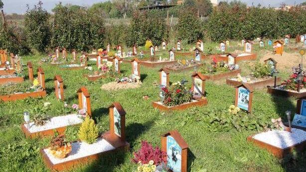 Toscana, sì alla sepoltura di animali con i padroni: «Scelta di civiltà». Ma i cattolici non ci stanno