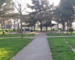 Prato, la Municipale smantella un chiosco abusivo ai giardini