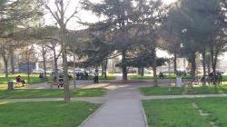 Prato, la Municipale smantella un chiosco abusivo ai giardini
