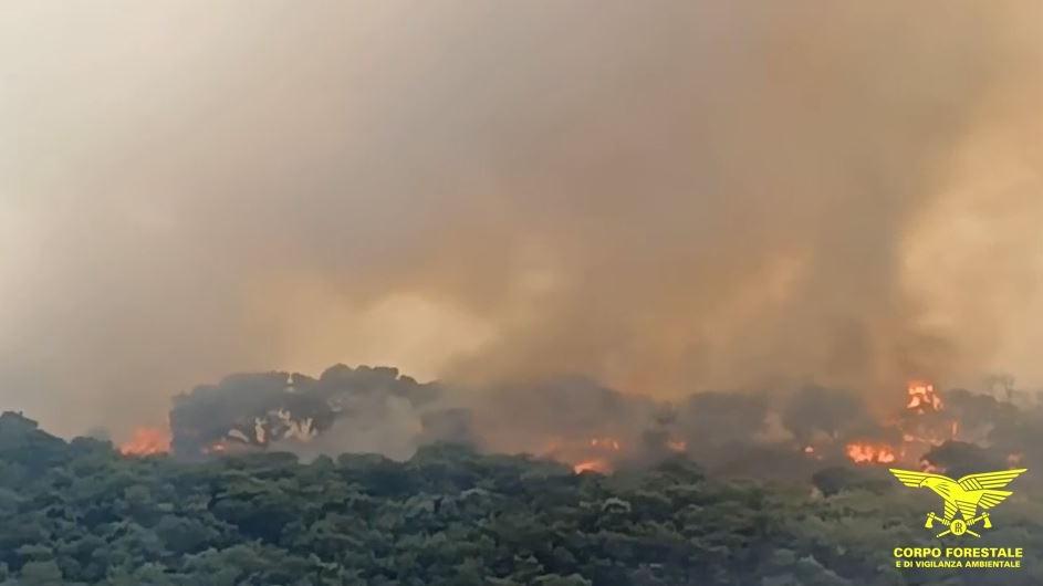 Sardegna assediata dal fuoco, Canadair in volo: da nord a sud 25 incendi