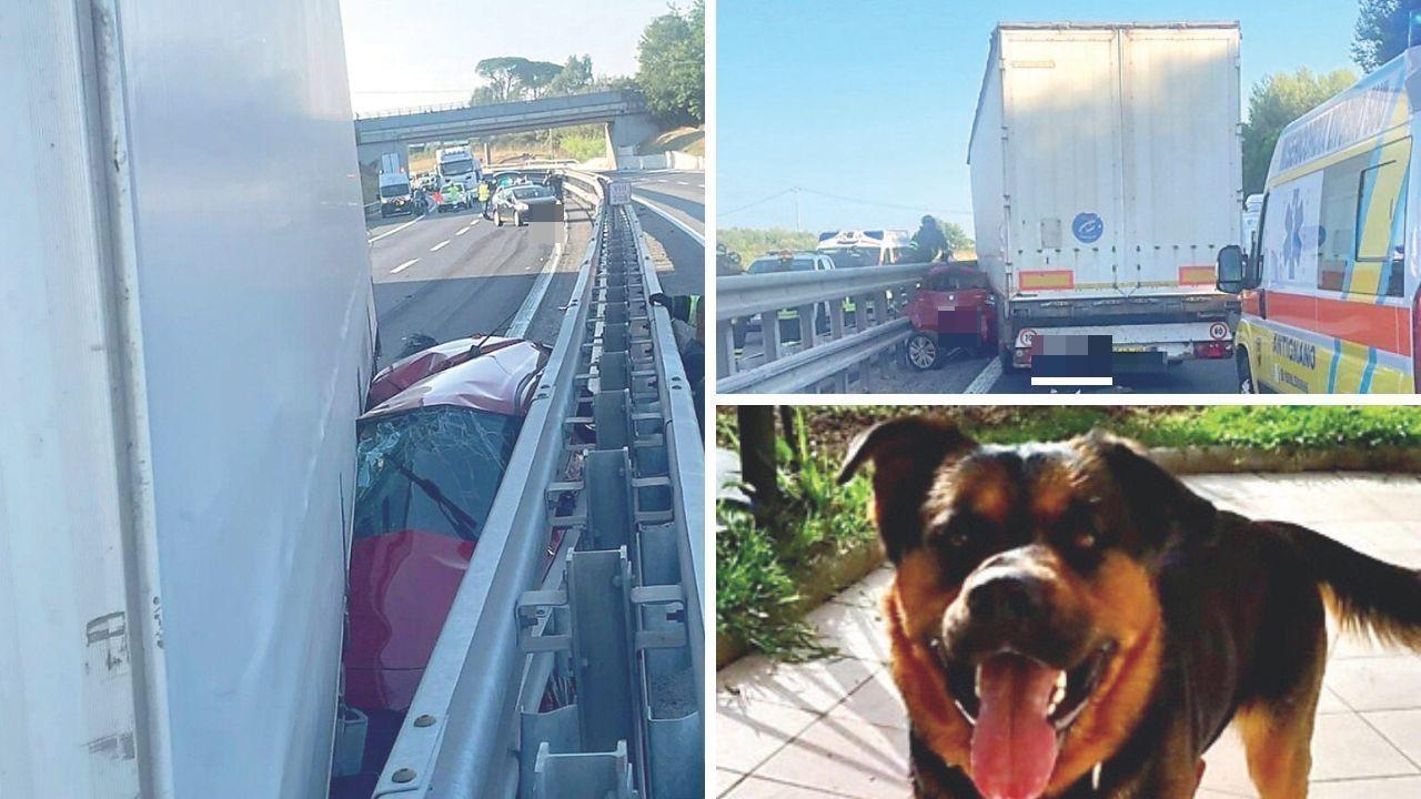 Le immagini dello scontro e il loro cane