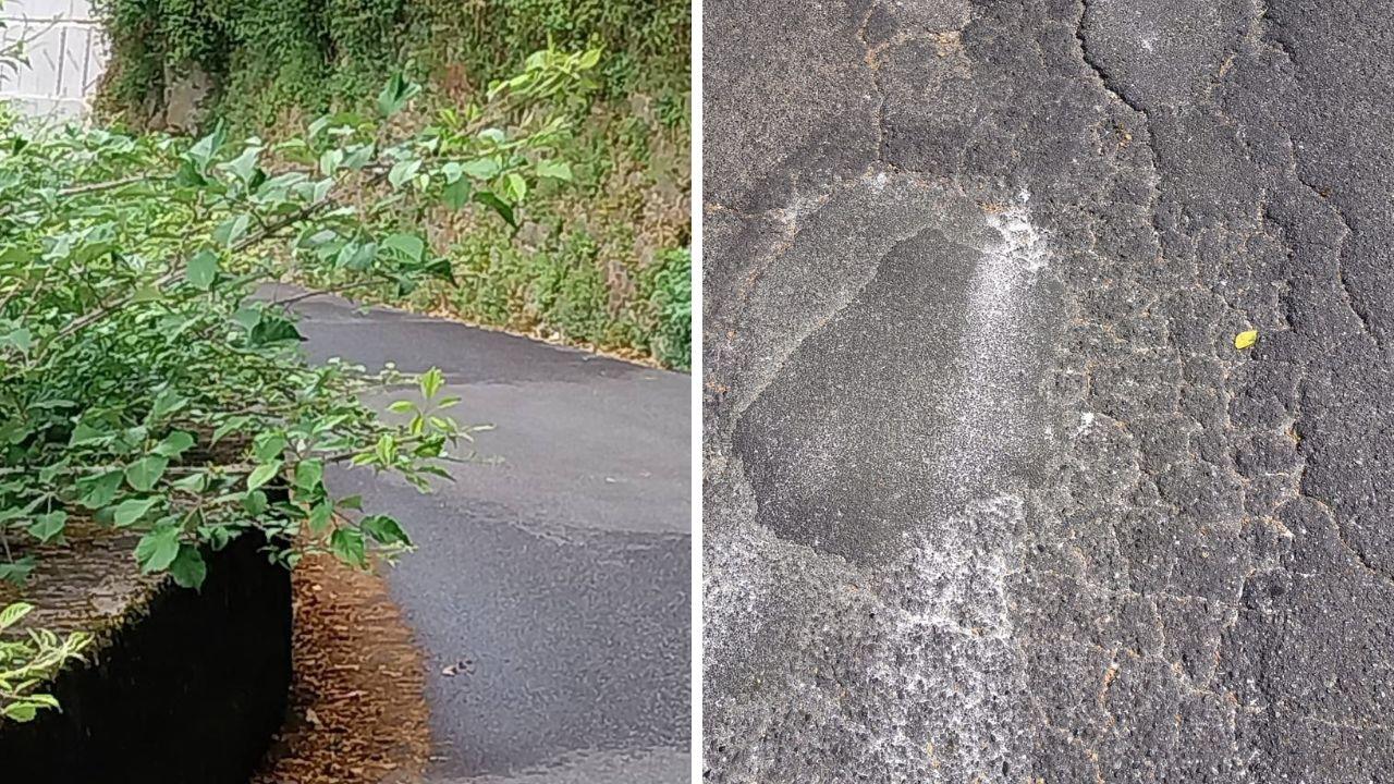 Alcune immagini della strada