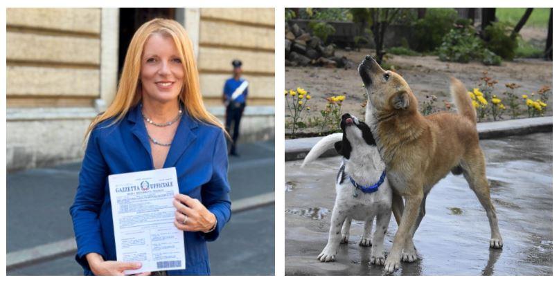 «Fino a 4 anni di carcere per chi li uccide. Con la Legge Brambilla svolta epocale per gli animali»