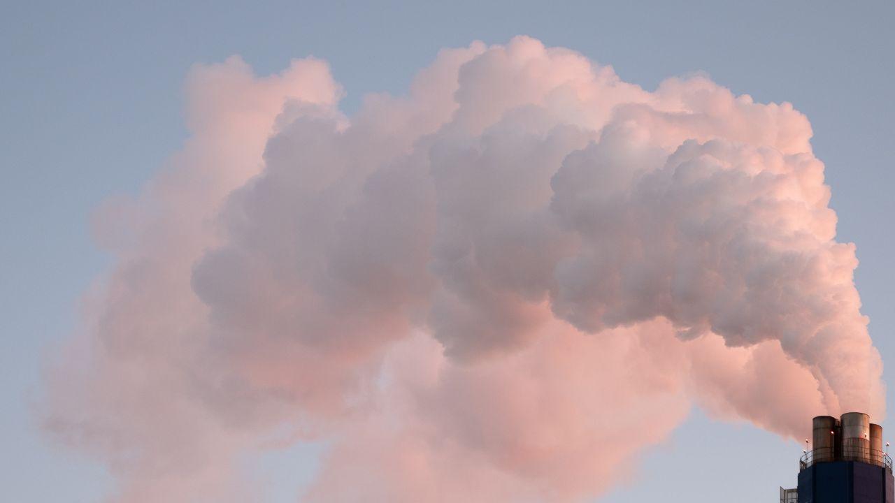 
	(foto di repertorio)

