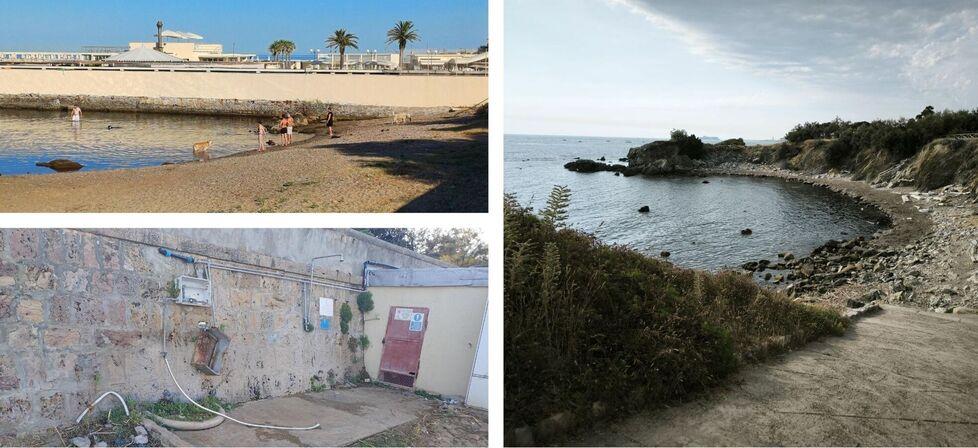 Poveri amici a 4 zampe: per loro a Livorno solo spiagge “da cani”<br type="_moz" />
