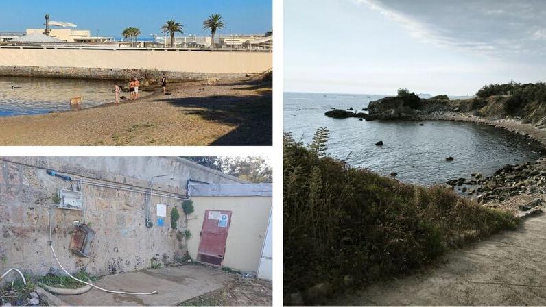 Poveri amici a 4 zampe: per loro a Livorno solo spiagge “da cani”<br type="_moz" />