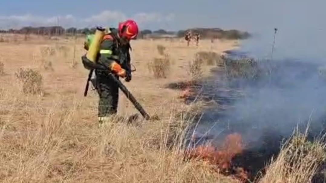 Sardegna in fiamme, incendio alimentato dal forte maestrale: ettari di terre in fumo