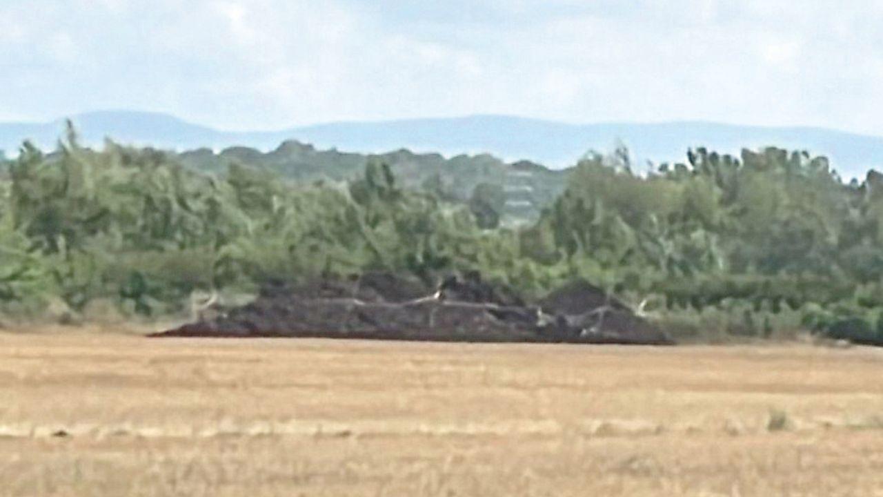 
	Il concime sequestrato

