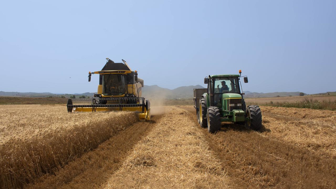 Caro pasta, la svolta di Cellino: prezzo basso e fisso per tutto l’anno
