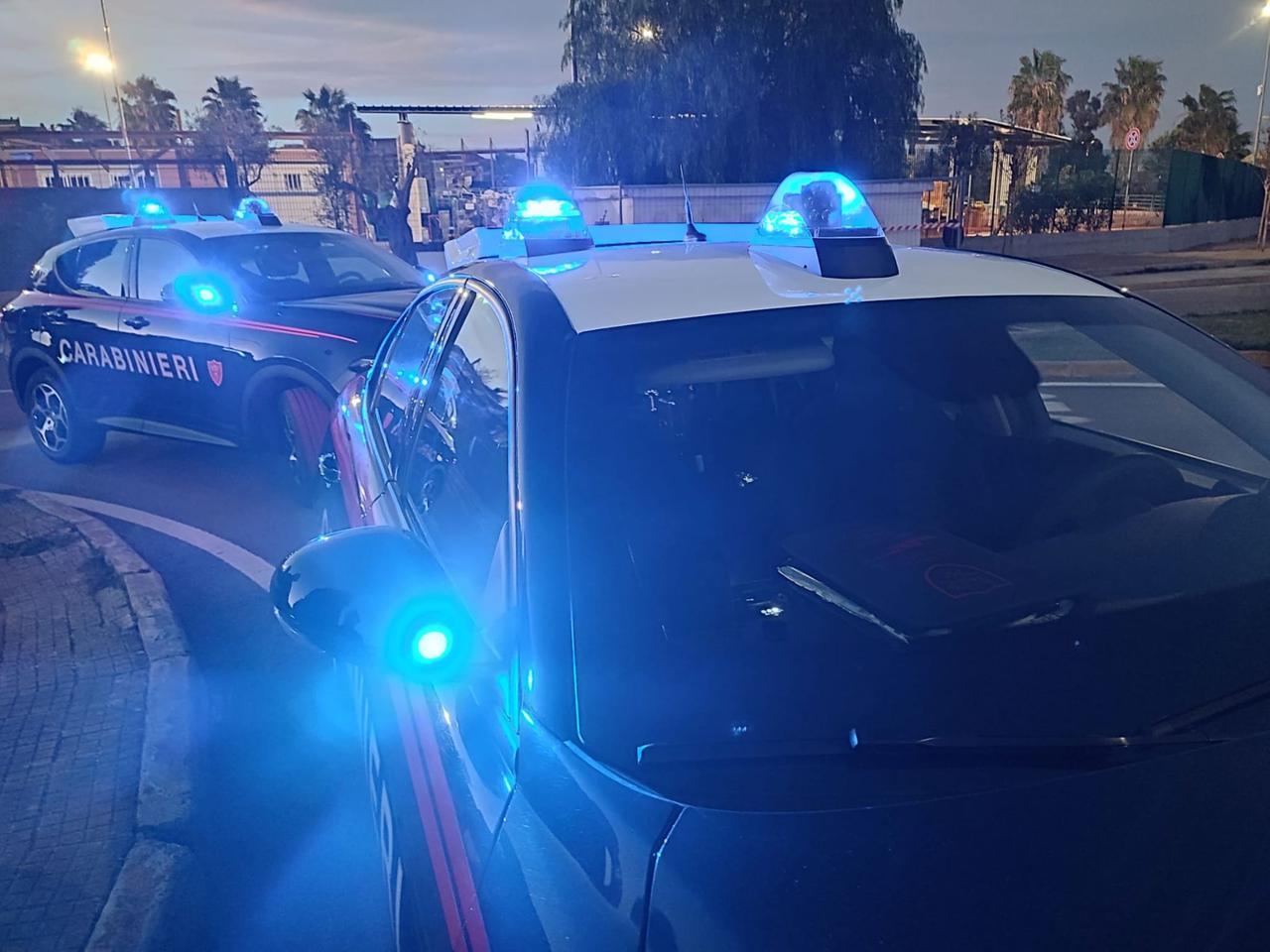 Coltivava marijuana in cortile: denunciato un 41enne