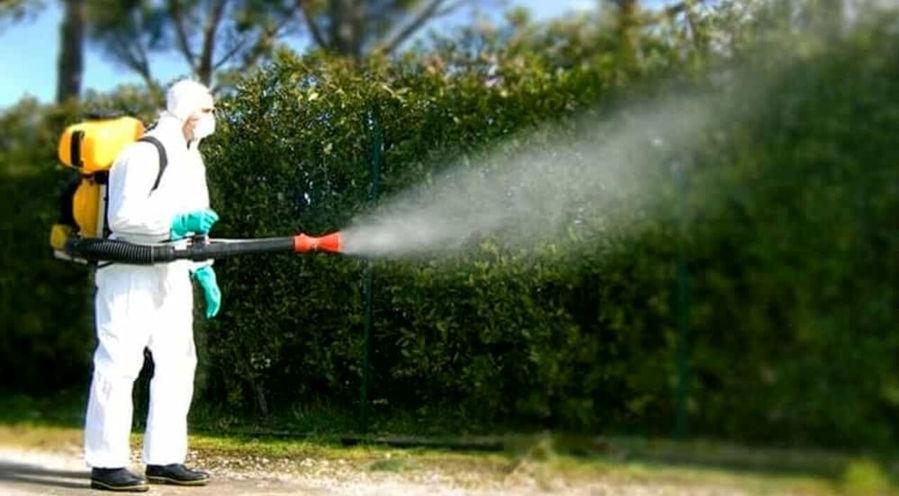 (foto di repertorio)