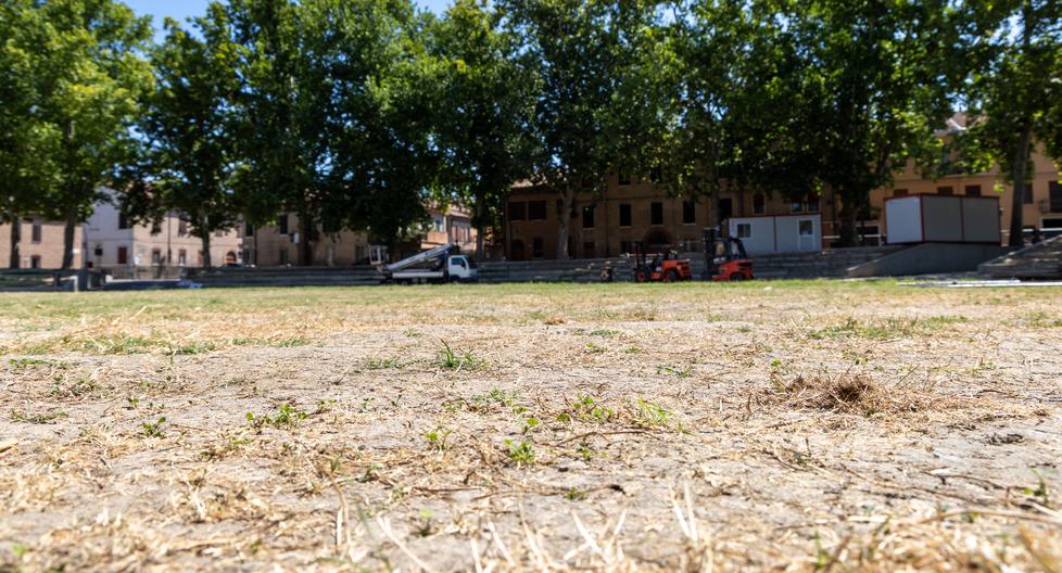 Ferrara, piazza Ariostea verso la "liberazione". «Erba disastrata», ma nessun ripristino