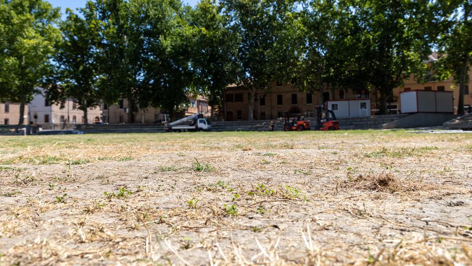 Ferrara, piazza Ariostea verso la "liberazione". «Erba disastrata», ma nessun ripristino