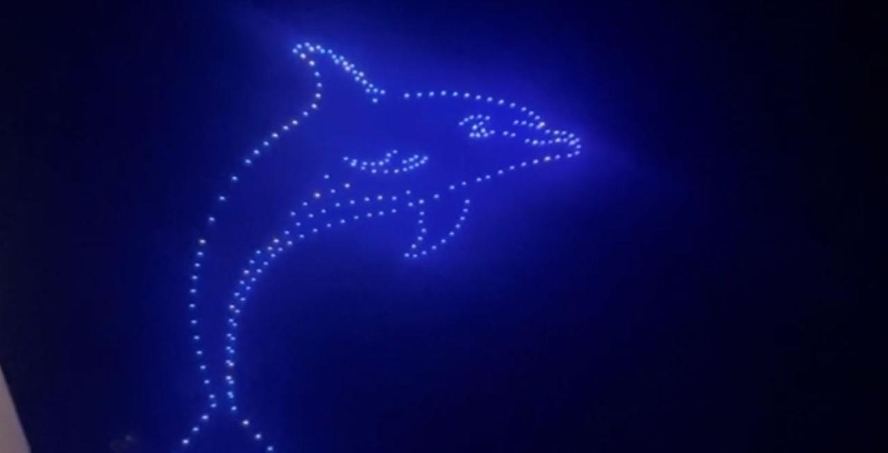 
	I droni compongono la figura di un delfino

