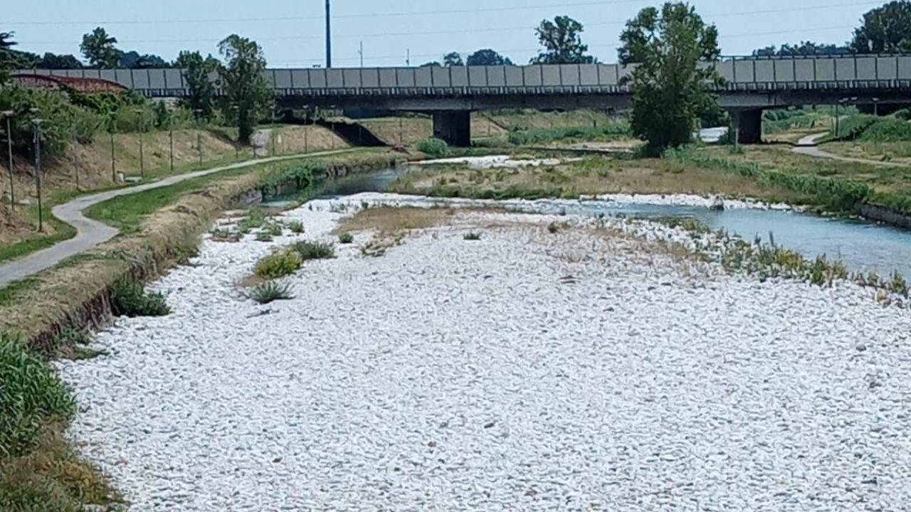 
	La tragedia sul fiume Po (Foto di repertorio)

