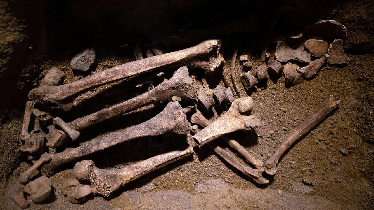 
	Resti di ossa umane ritrovati in ospedale (Foto di repertorio)

