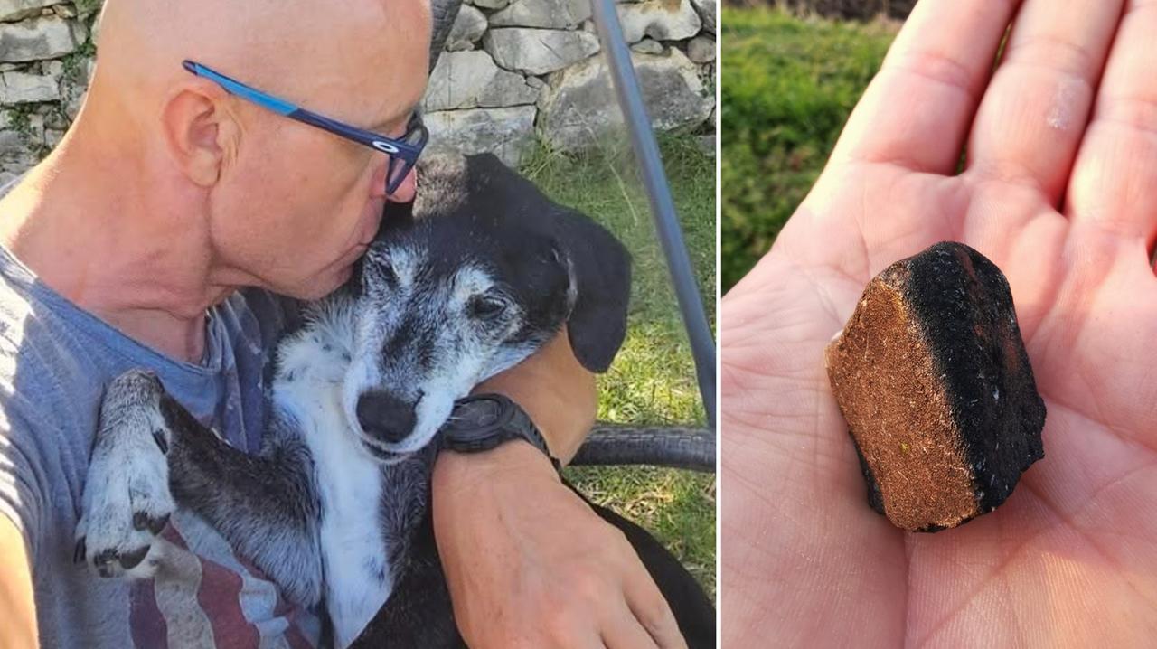 
	Pimpa con Davide e il meteorite trovato

