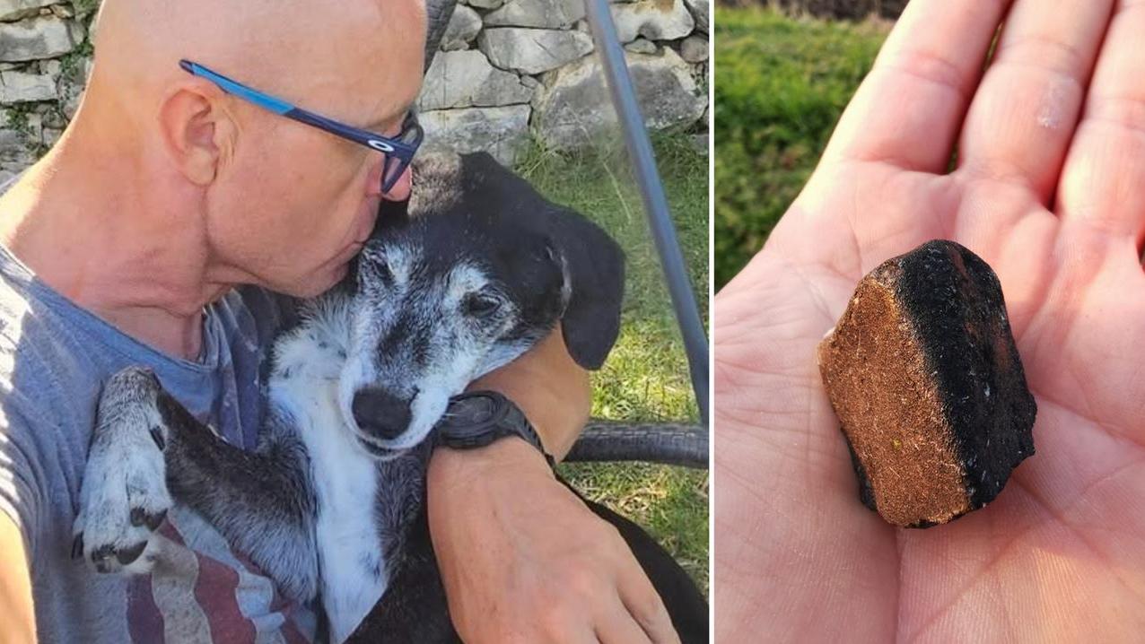 Pimpa con Davide e il meteorite trovato