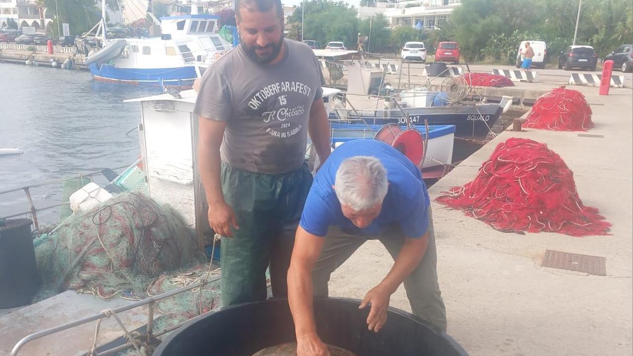 Tartaruga Caretta caretta salvata da due pescatori al porto di La Caletta