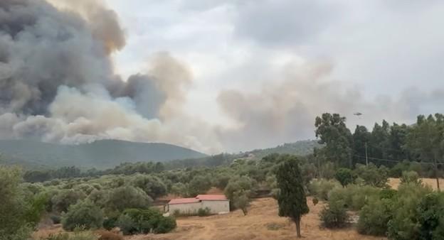 Devastante incendio minaccia aziende e abitazioni: task force in azione