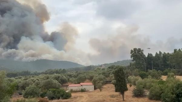 Devastante incendio minaccia aziende e abitazioni: task force in azione