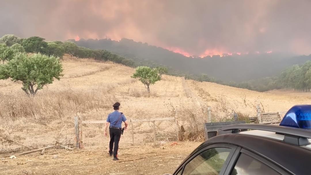 Sardegna in fiamme, due Canadair in volo: aziende e abitazioni minacciate dal fuoco, chiude la 130