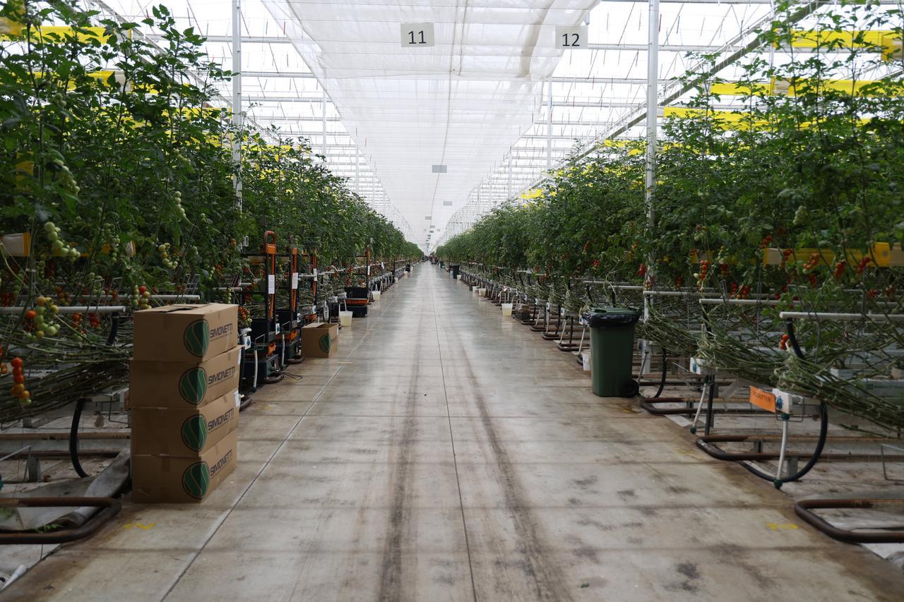 Ostellato, con Fri-el Green House 400 nuovi posti di lavoro