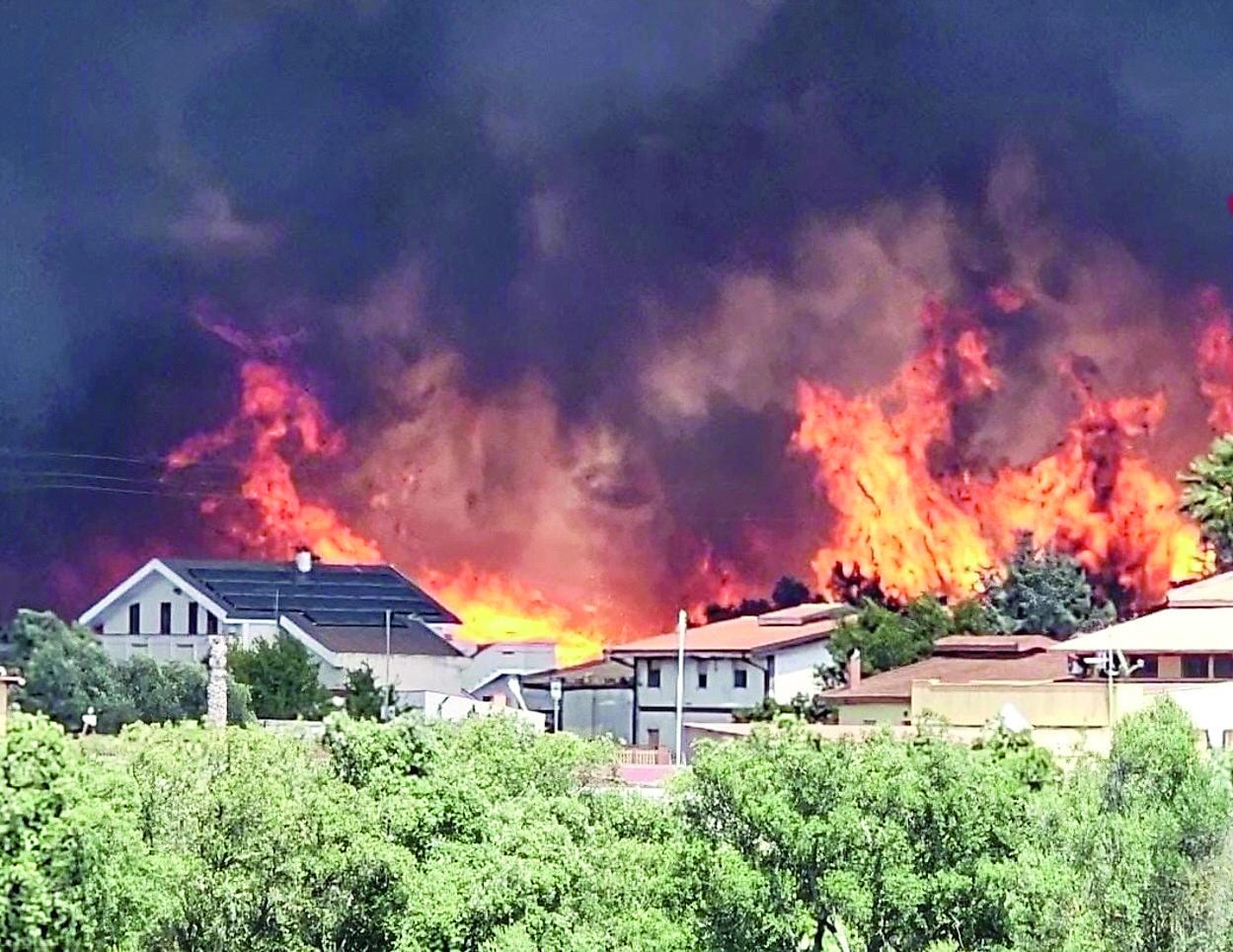 Incendi, sono i giorni più difficili. Cocco: «Quelli dolosi sono il 50%»
