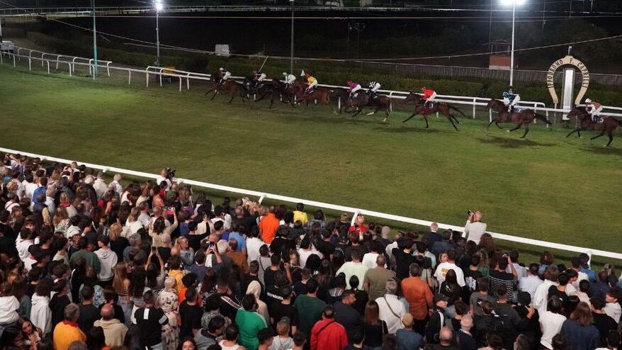 Livorno, uno scorcio dell'ippodromo Caprilli