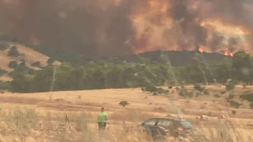 Sconforto, rabbia, impotenza. Un’agricoltrice di Villacidro in lacrime: «Ho perso tutto, serve prevenzione» – VIDEO