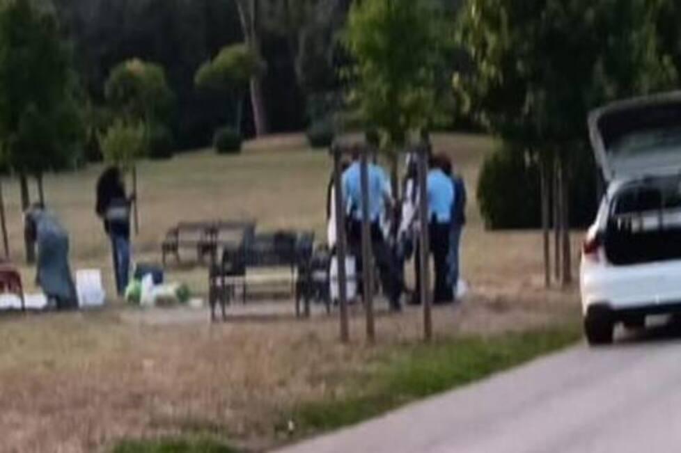 
	L'intervento dei vigili in pineta

