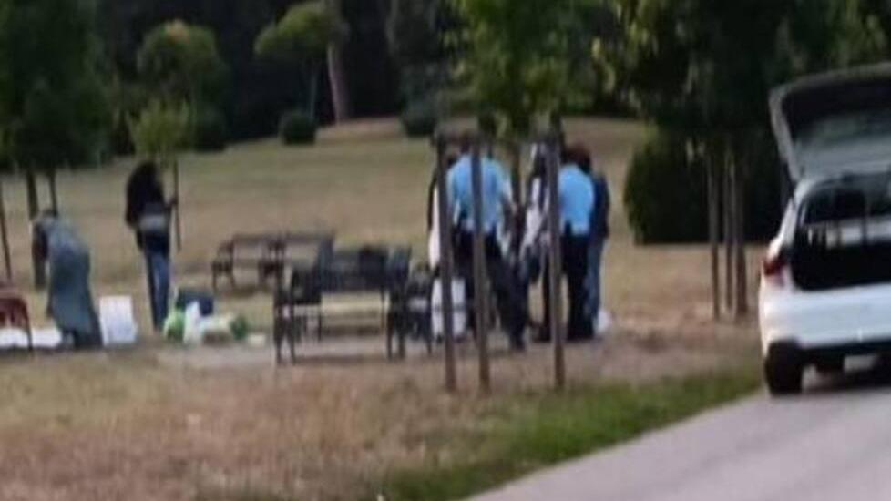 L'intervento dei vigili in pineta