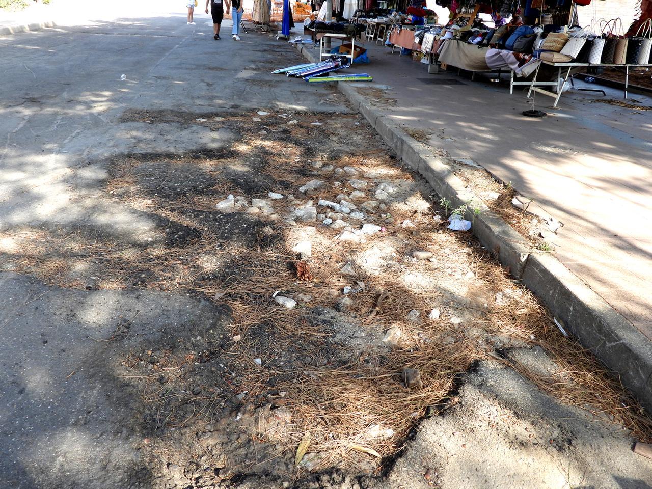 «Il lungomare è una giungla», musi lunghi anche in maggioranza