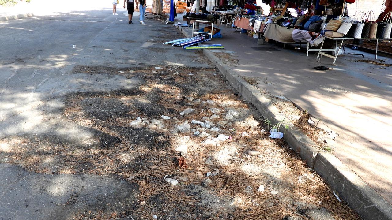 «Il lungomare è una giungla», musi lunghi anche in maggioranza