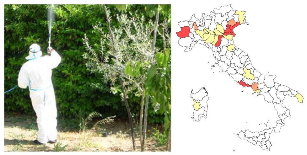 West Nile, l’Istituto superiore di sanità “colora” di rosso la provincia di Modena