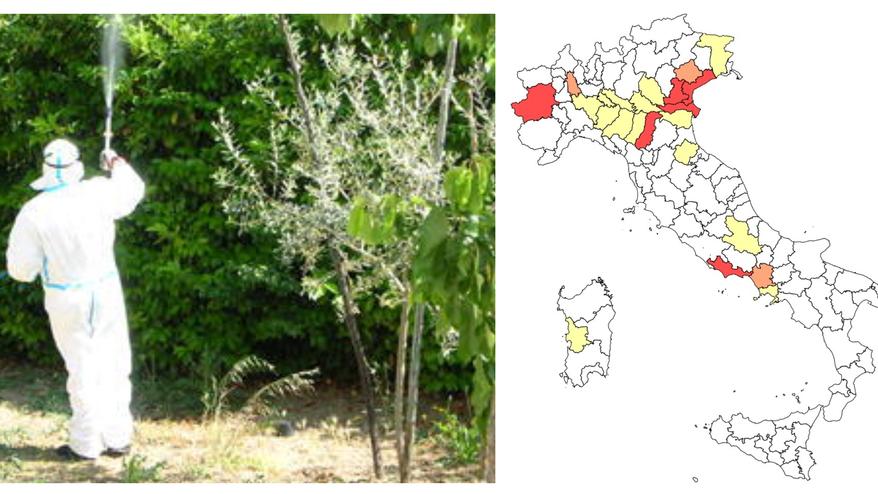 West Nile, l’Istituto superiore di sanità “colora” di rosso la provincia di Modena
