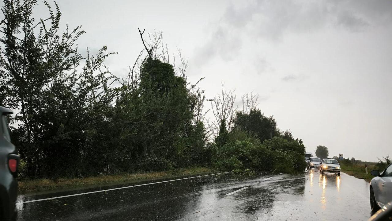 Pioggia a Ferrara, alberi caduti e vigili del fuoco al lavoro