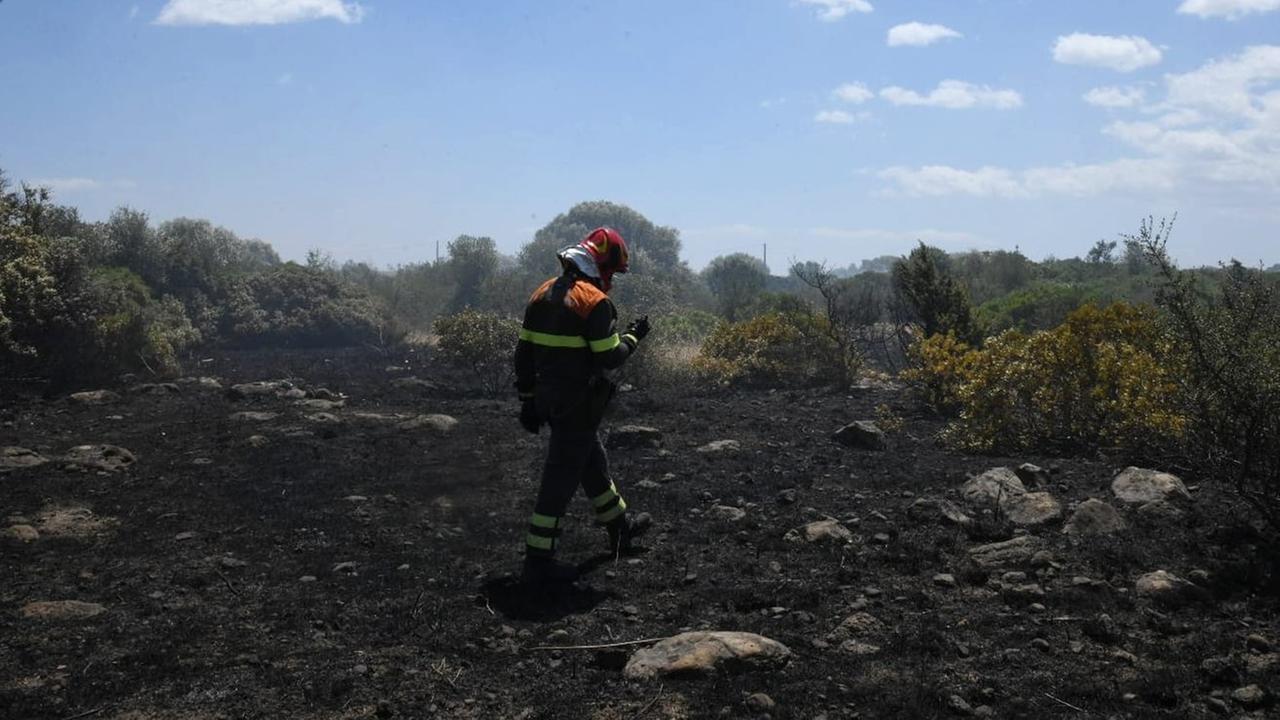 
	(foto Massimo Locci)

