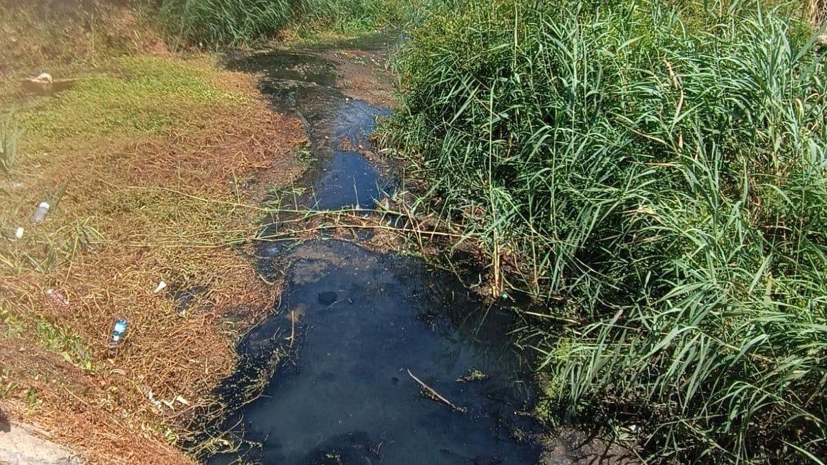 Sversamento di liquami nel golfo del Pevero