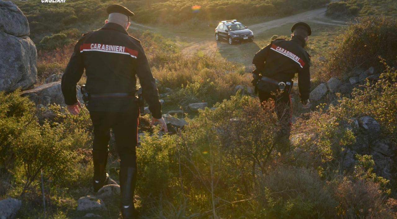 Uccidono un daino e un cinghiale: denunciati due bracconieri