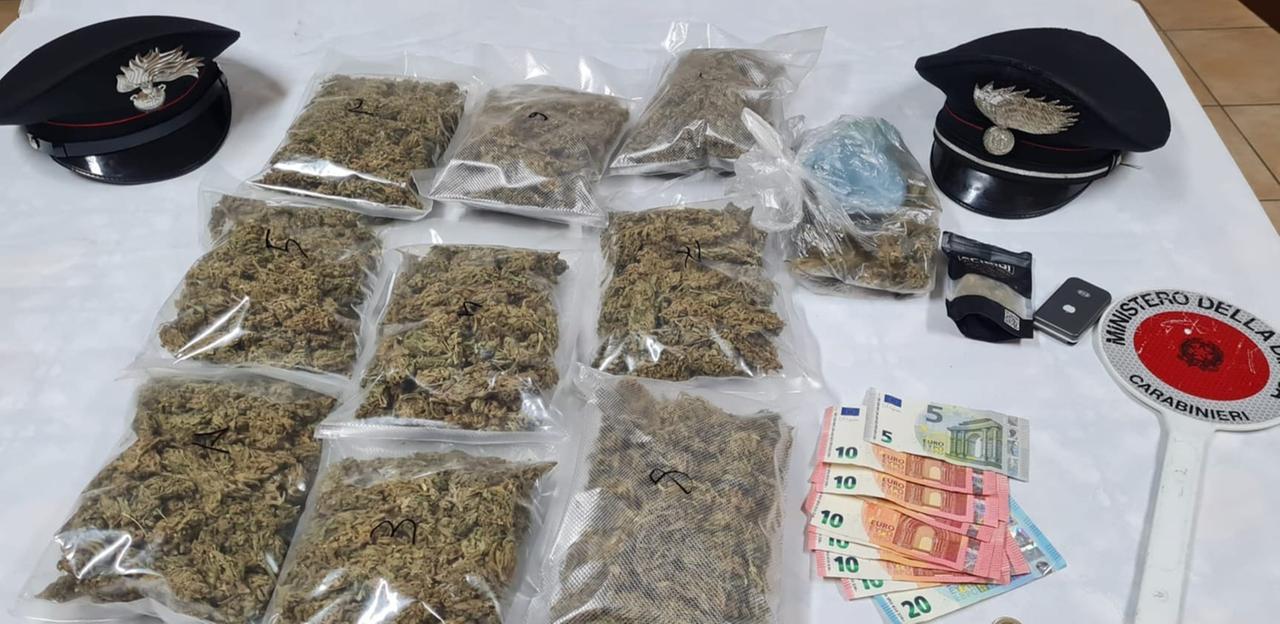 Piantagione di marijuana nell’ ovile: due arresti e tre chili e mezzo di droga sequestrati